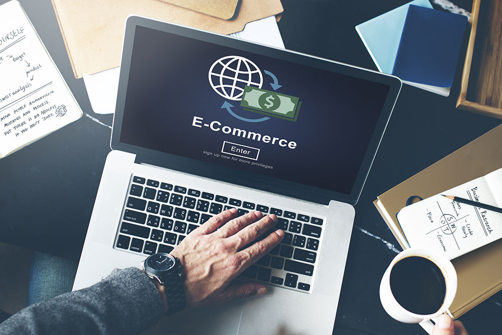 E-Commerce Marketing Strategy - Hollister CA - Littlejohn's Web Shop