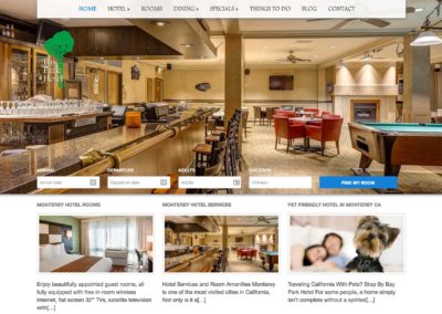 Hotel Marketing Website Design