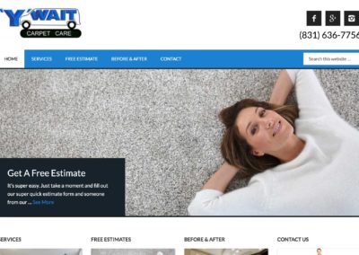 Website Design For Carpet Cleaning Professionals