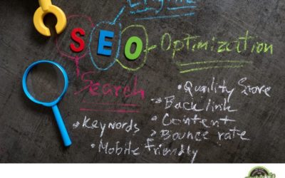Best SEO Software for Small Businesses